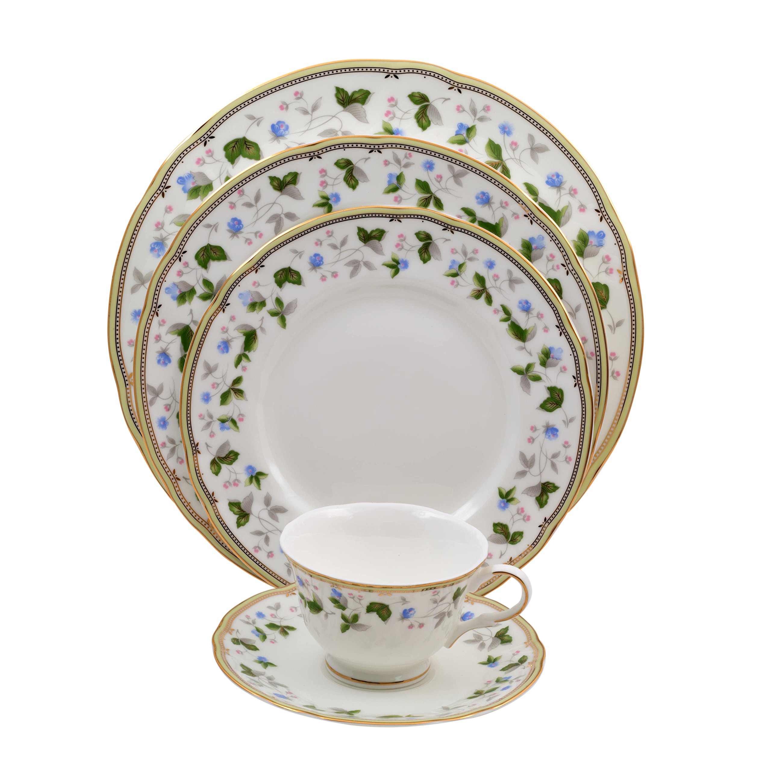 Amazon.com: Shinepukur Everglades Bone China Place Settings, 5